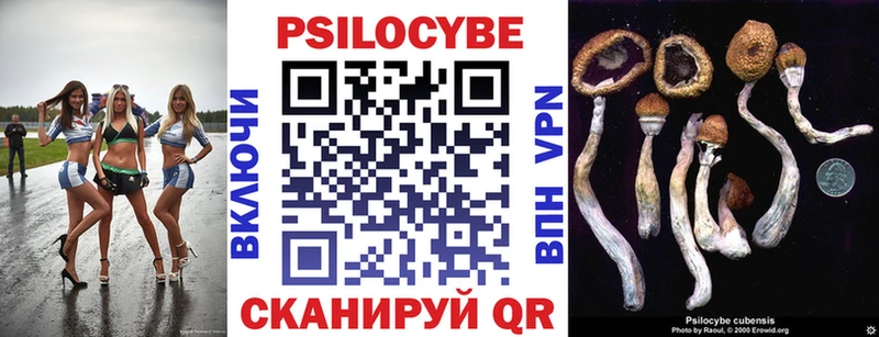 kraken как войти  Котельнич  Галлюциногенные грибы Psilocybe 